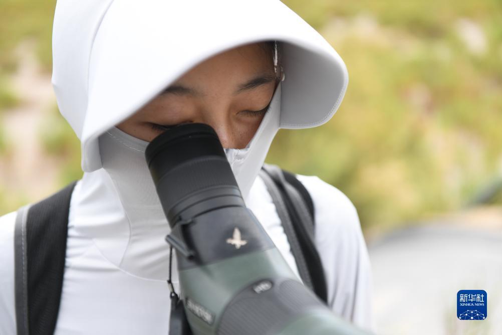 官方李逵捕鱼游戏下载